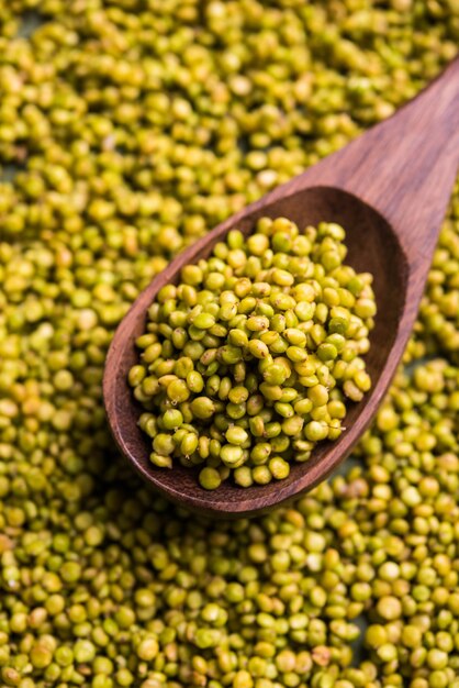 Photo sorghum also known as jowar or juaror cholam in tamil and hurda in marathi. in december -  january agriculturists celebrates hurda party in india, hurda also means pre-stage or tender jowar