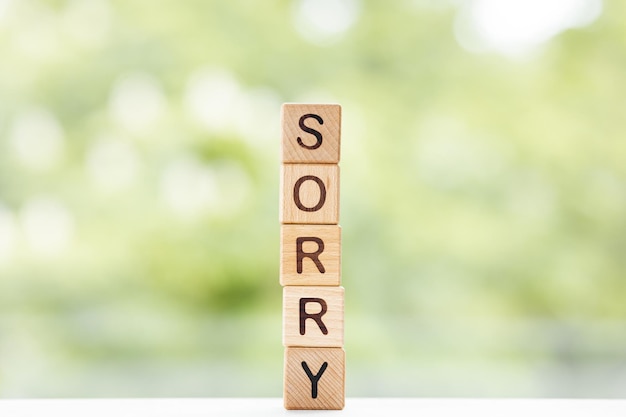 Sorry word is written on wooden cubes on a green summer background Closeup of wooden elements