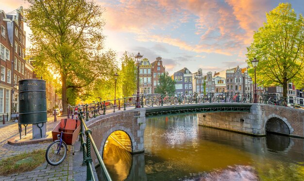 写真 アムステルダムの魂 アムステールムの早朝 古い家 橋 伝統的な自転車 運河 太陽が木の中を照らす アムスターダムのすべての観光スポットの景色