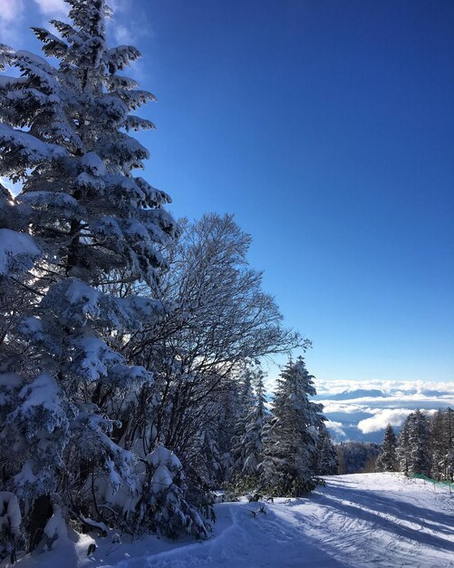 Foto il suono del silenzio