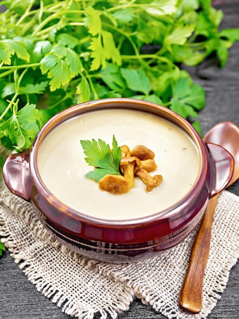 Soup puree of chanterelle in bowl on burlap