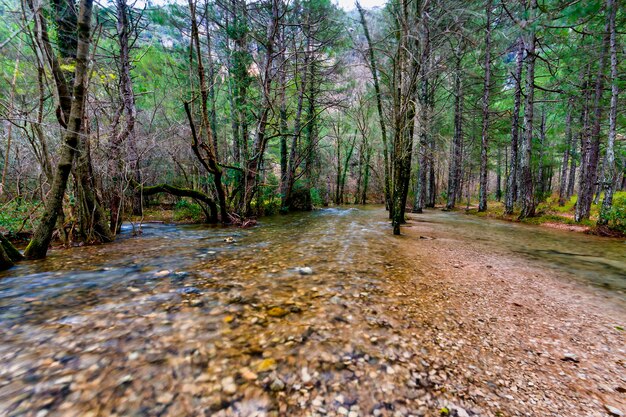 Source of the Rio Mundo in Albacete