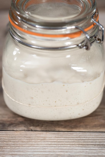 Sourdough starter