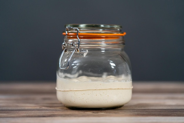 Sourdough starter