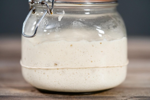 Sourdough starter