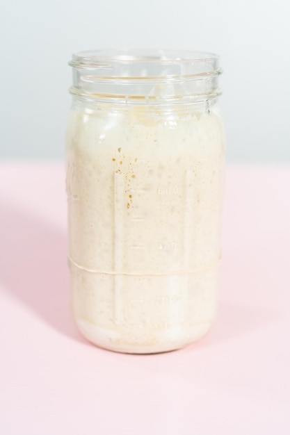 Sourdough starter