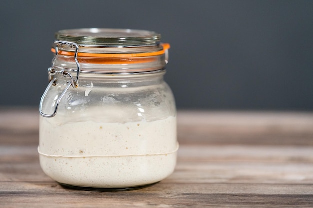 Sourdough starter