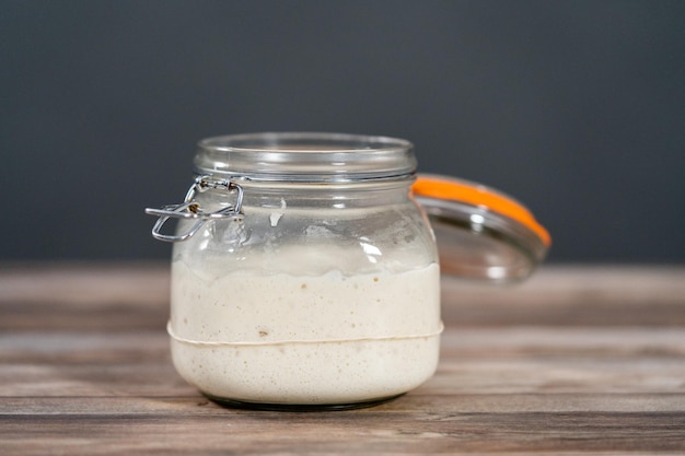 Sourdough starter