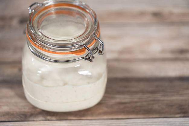 Sourdough starter