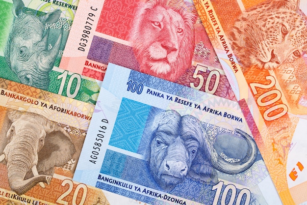 South African money a business background