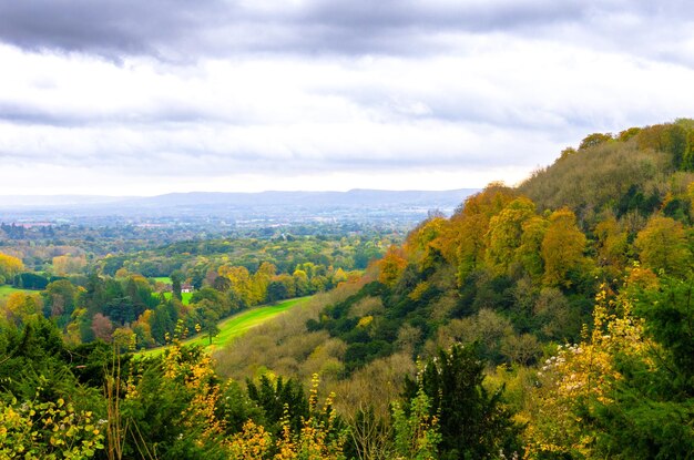 Foto parco nazionale di south downs nell'autunno dell'east hampshire, in inghilterra