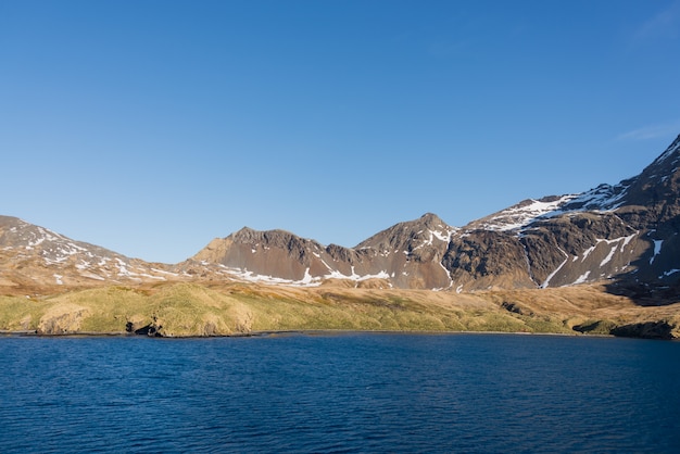 사우스 조지아 Grytviken 풍경