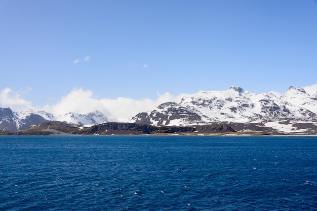 South Georgia landscape