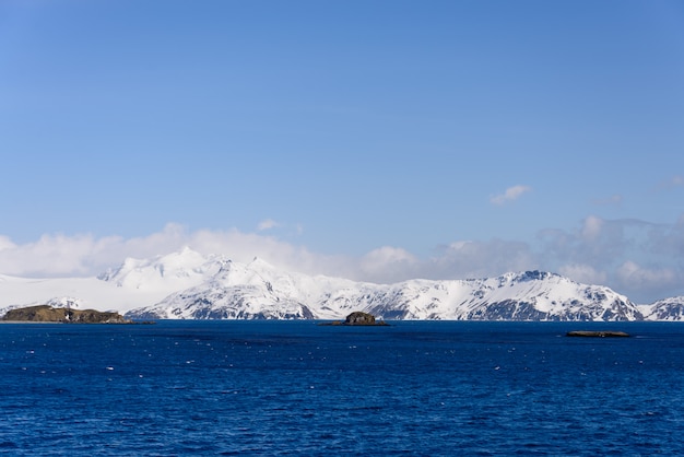 South Georgia landscape