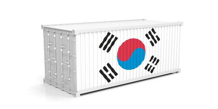 Photo コンテナーの 3 d イラストレーションに韓国の旗