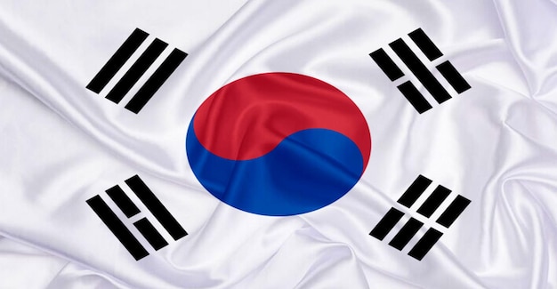 韓国の国旗が風に飛ぶ