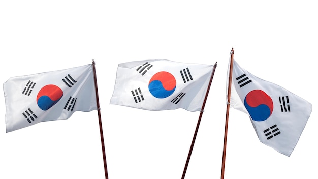 The South Korean national flag