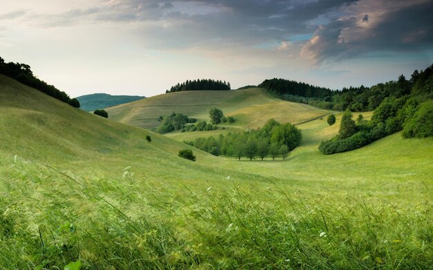 South moravia