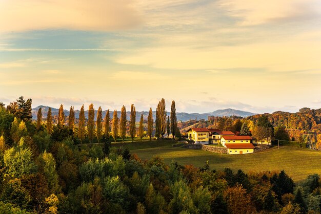 South styria vineyards landscape Tuscany of Austria Sunrise in autumn