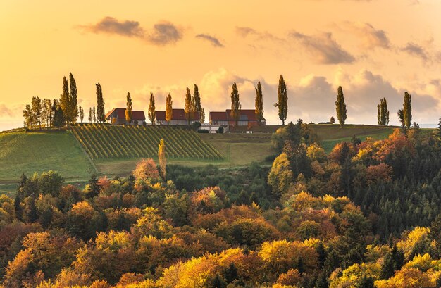 South styria vineyards landscape Tuscany of Austria Sunrise in autumn