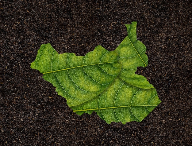 토양 배경 생태 개념에 녹색 잎으로 만든 남수단 지도