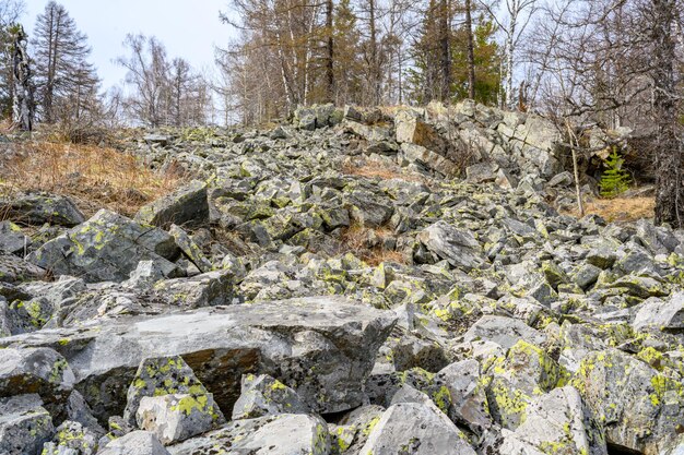 South Ural kurumnik stones cobblestones moss with a unique landscape vegetation and diversity of nature