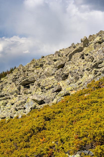 Monti urali meridionali con una vegetazione paesaggistica unica e diversità della natura