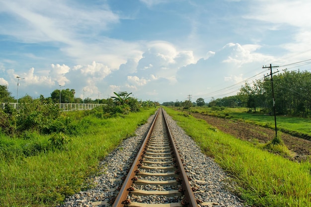The southern railway line in Thailand is full of grass and green plants beside the trees.