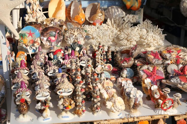 Souvenir Seashells in Bodrum