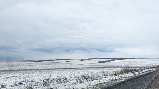 戦争中のウクライナでの播種時期穀物を播種するための畑の準備青い空が土地の恐怖を耕した