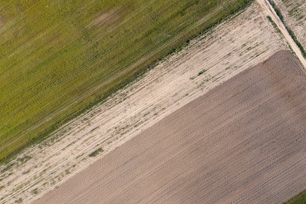 Photo sown agricultural field view from above drone shooting