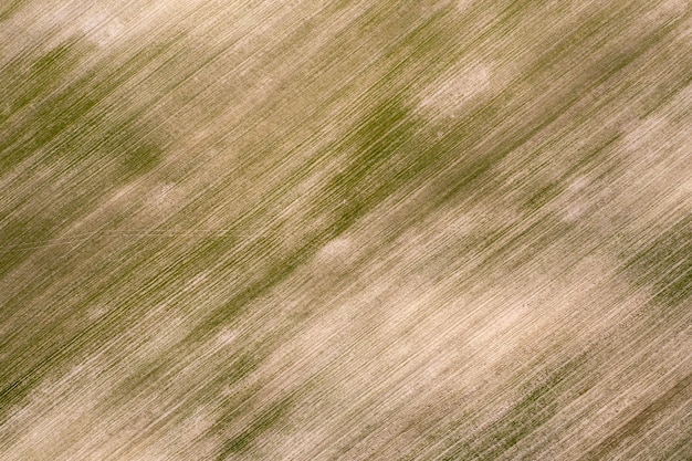 sown agricultural field, view from above