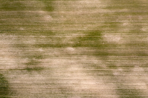 sown agricultural field, view from above