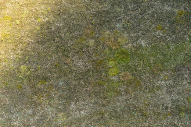 sown agricultural field view from above