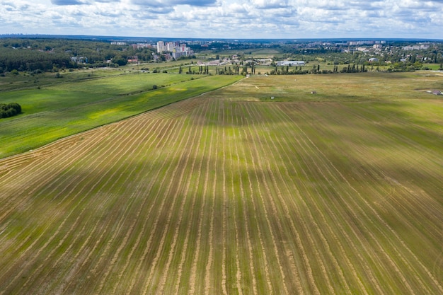 sown agricultural field view from above