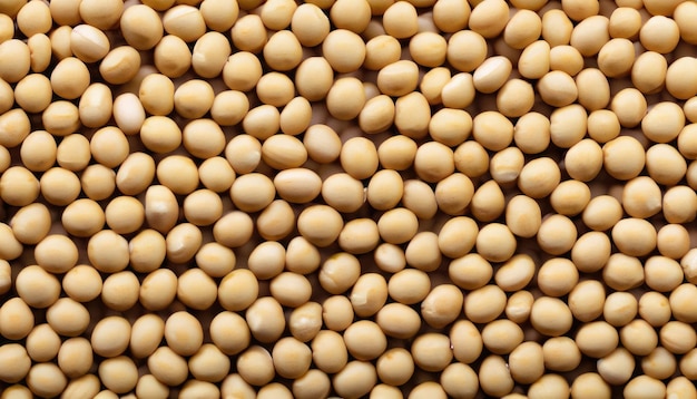 Soy bean texture background