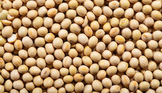 Soy bean texture background