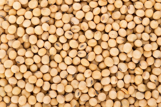 Photo soy beans background
