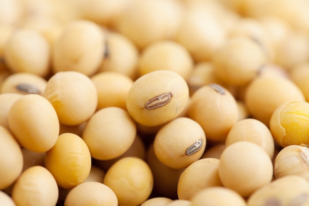 Soy beans background