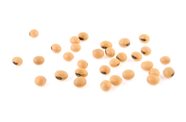 Soy beans isolated on white background.