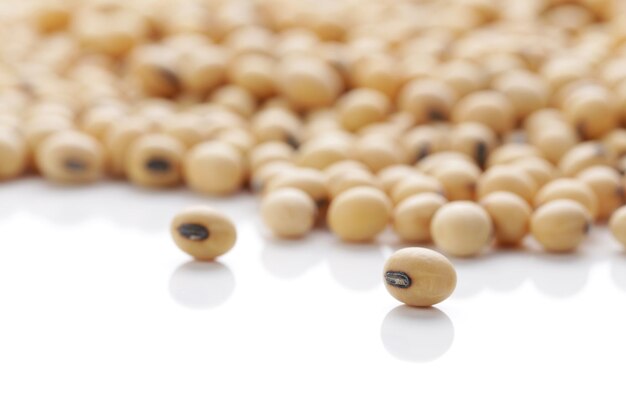 Photo soy beans on white background