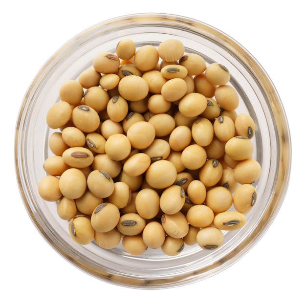 Soy grains in a bowl isolated