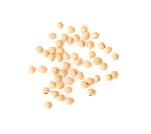 白い背景に分離された大豆