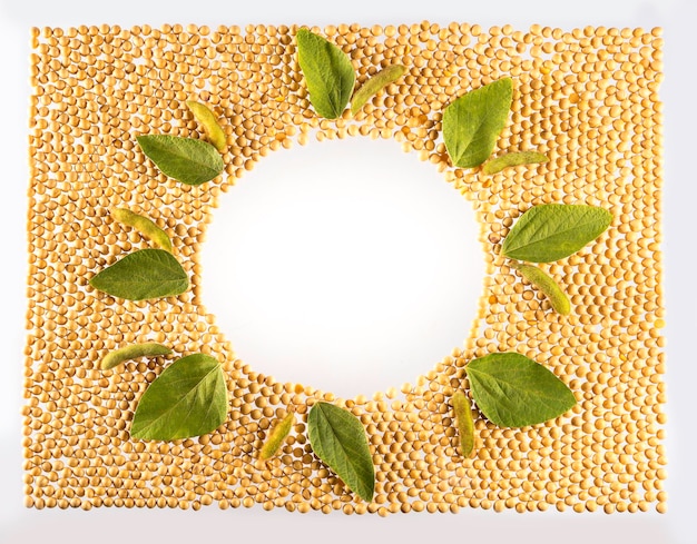 Soybean pattern for background  withspace for text in the center, top view..