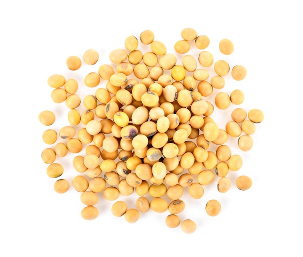 Soybean seeds