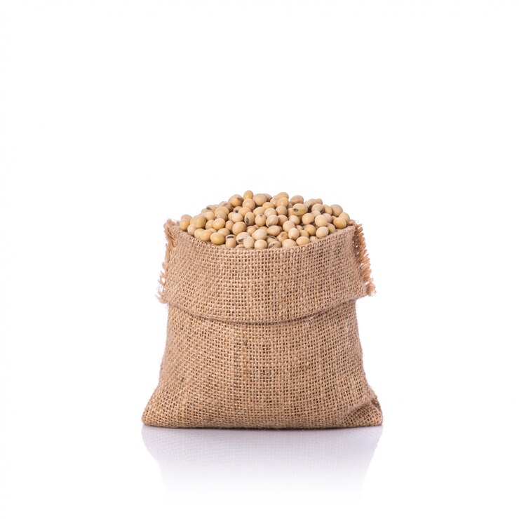 Photo soybean in small sack.
