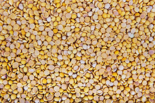 soybean on a white background