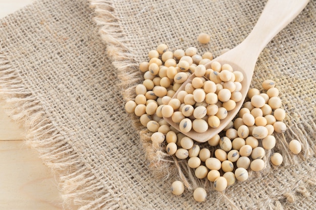 soybean in wood spoon