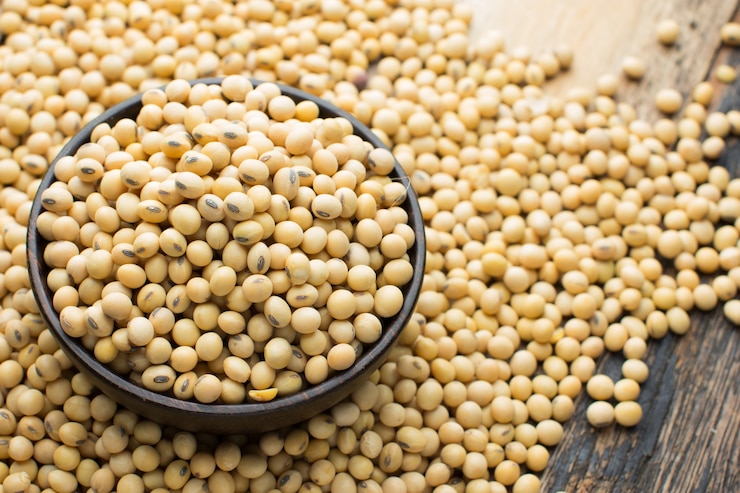 Photo soybean