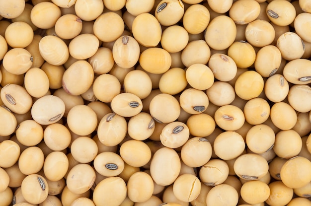 Soybeans for food texture background